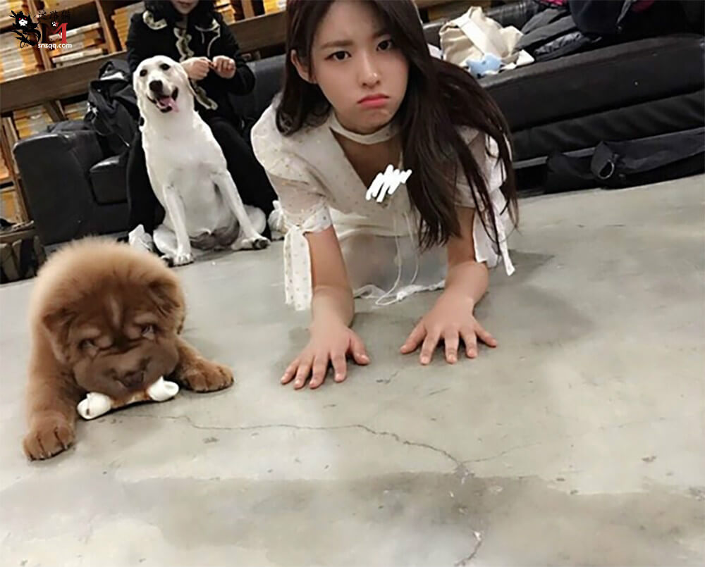 那个人好奇怪，他好像一条狗